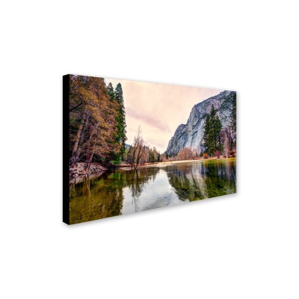 David Ayash 'Yosemite Valley' Canvas Art,12x19